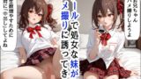 クールな妹からハメ撮りに誘われる 【d_461498】