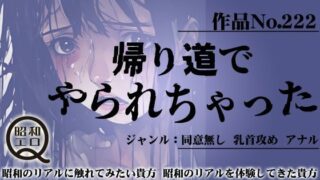 作品No.222 帰り道でやられちゃった 【d_455266】