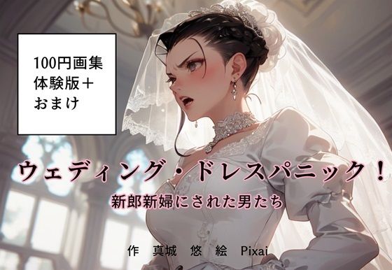 100円画集「ウェディング・ドレスパニック！新郎新婦にされた男たち、体験版＋おまけ」 【d_476399】