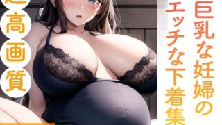 巨乳な妊婦のエッチな下着集。150枚 【d_365705】