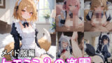 ケモミミ？の楽園 きつね メイド服編 【d_544352】