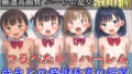 【新作価格】【豪華特典あり】つるぺたロリハーレム学園  先生との保険体育の授業【500個】 【d_560535】