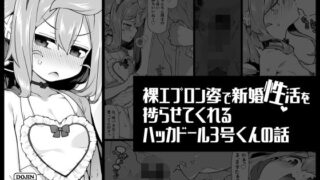 裸エプロン姿で新婚性活を捗らせてくれるハッカドール3号くんの話 【d_562809】