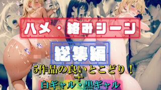 【ハメ・絡みシーン総集編】 【d_568459】