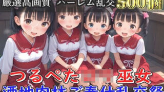 【新作価格】【豪華特典あり】つるぺたロリ巫女 酒地肉林ご奉仕乱交祭【500個】 【d_572934】