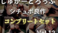 【新作価格】【豪華なおまけあり】85分越え！！♪良作選抜♪良作シチュボコンプリートパックVol.12♪4本まとめ売りセット【小鳥遊いと 星野天 夢咲めぇ】 【d_591768】