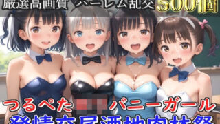【新作価格】【豪華特典あり】つるぺたロリバニーガール 発情交尾酒地肉林祭【500個】 【d_582417】