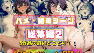 【ハメ・絡みシーン総集編2】 【d_584208】