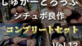 【新作価格】【豪華なおまけあり】75分越えの特大ボリューム！！【豪華おまけ特典あり】♪良作選抜♪良作シチュボコンプリートパックVol.13♪4本まとめ売りセット【御子柴泉 小鳥遊いと 長瀬ゆずは】 【d_609801】