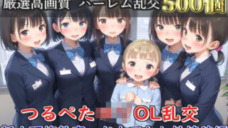 【新作価格】【豪華特典あり】つるぺたOLロリハーレム乱交 新人研修教育  おもてなし性接待編【500個】 【d_608116】