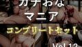 【新作価格】【豪華なおまけあり】約180分の特大ボリューム♪【豪華特典あり】良作選抜♪ガチ実演コンプリートパックVol.12♪4本まとめ売りセット【姫宮ぬく美 熊野ふるる もとき りお 結原かなみ】 【d_609847】