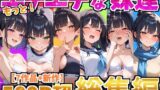 もっと！エチエチな妹達〜総集編〜 【d_615420】