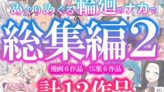 めぐりめぐる輪廻のナカで総集編2 【d_623215】
