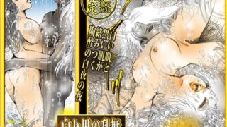白と黒の乱舞 【d_641811】